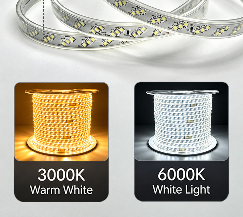 Warm-white 3000K and white 6000K strip reels.