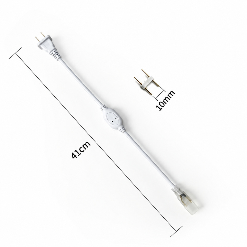 Separate two-pin connector lead with illustrated 41cm length and 10mm pin pitch.