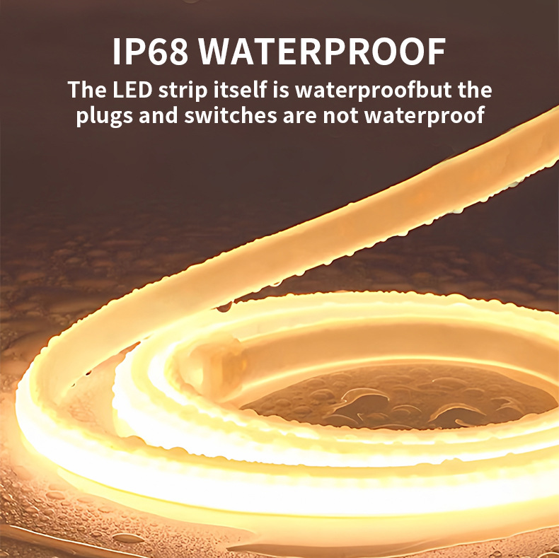 Encapsulated COB strip body