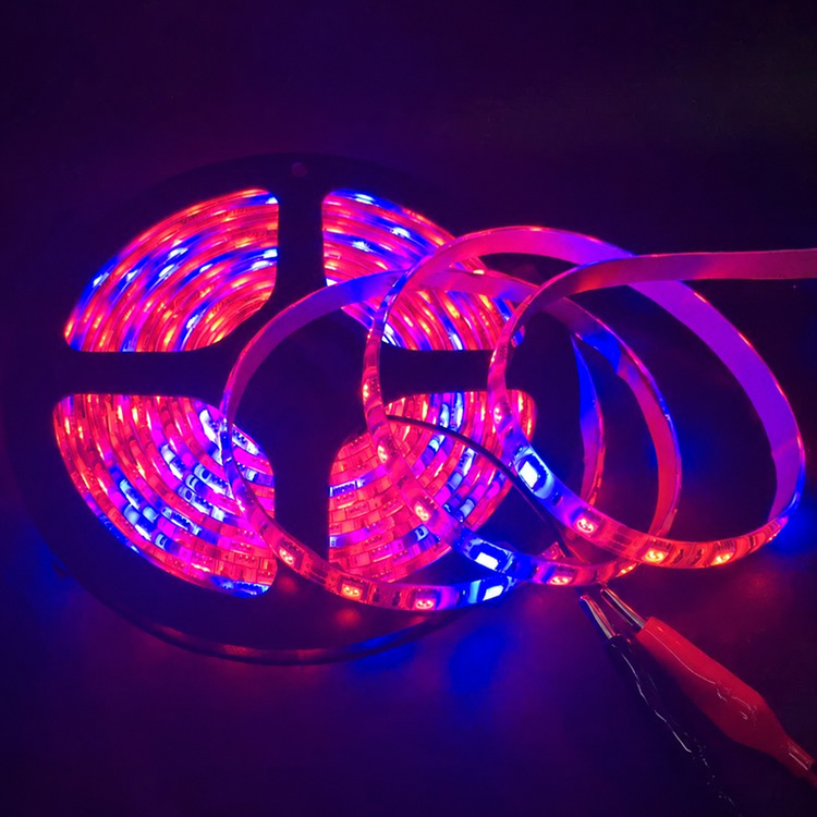 Red and blue plant-lighting strip reel with leads.