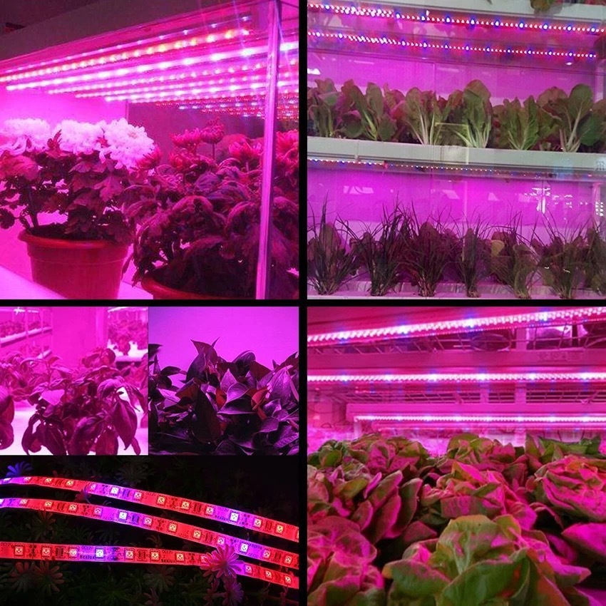 Plant-lighting strip details and planting-tray applications.