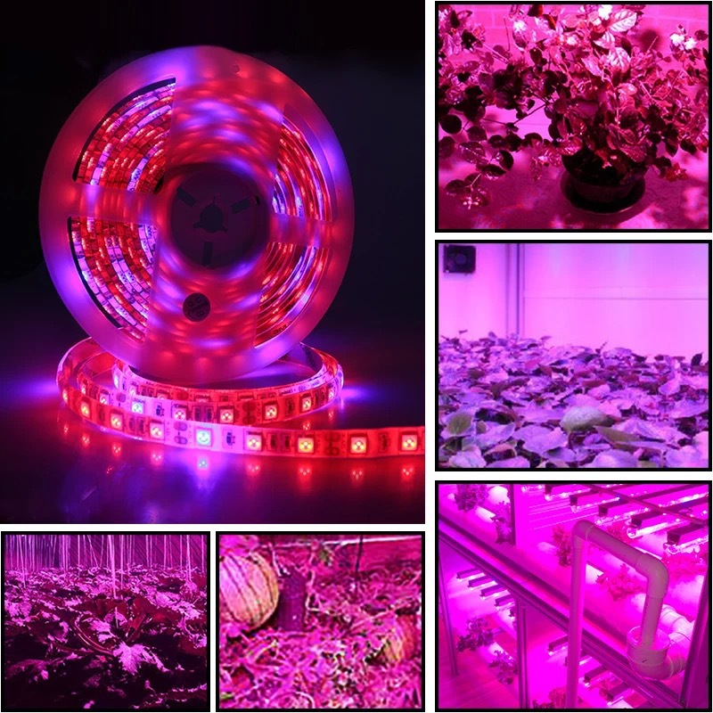 Grow-strip reel and plant-lighting applications.