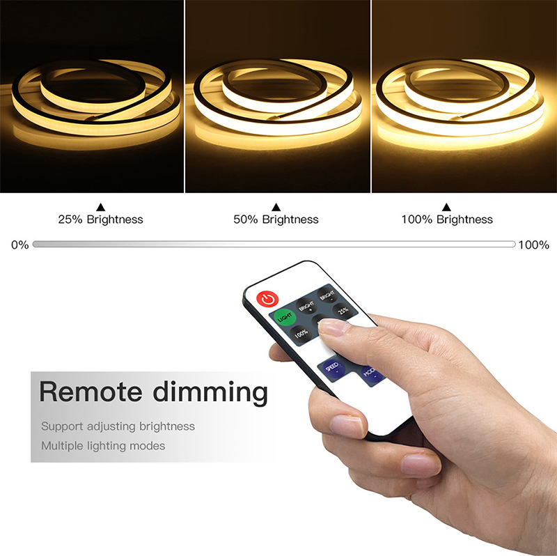 COB brightness examples and handheld remote.