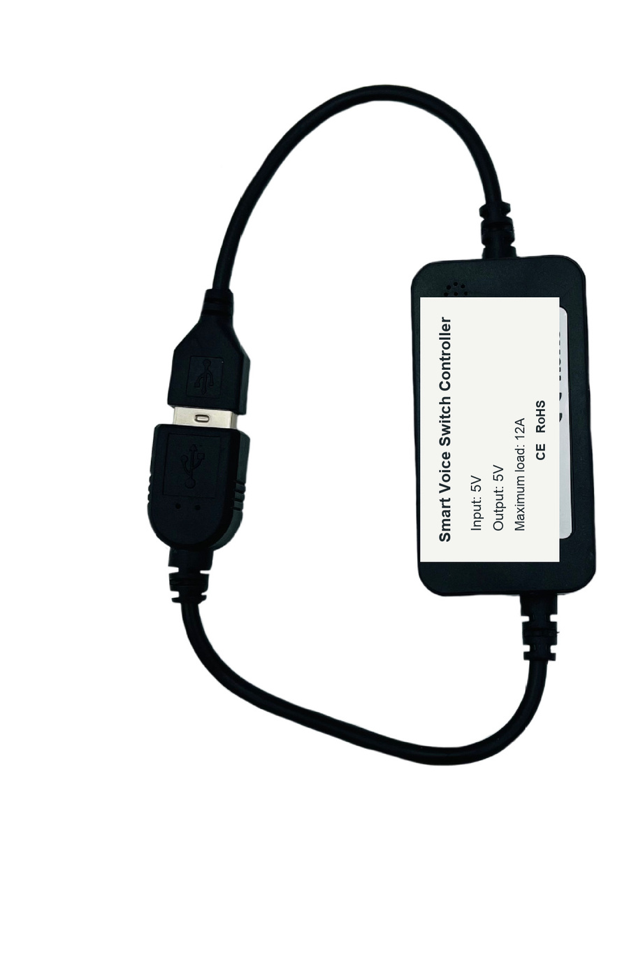 Voice-control inline switch body and connected leads