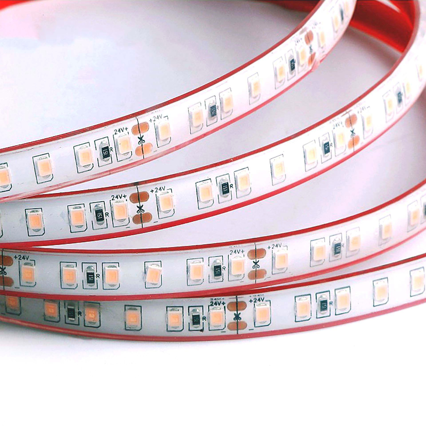 Close-up of a 24V 2835 LED strip showing its solid encapsulated construction and cut marks