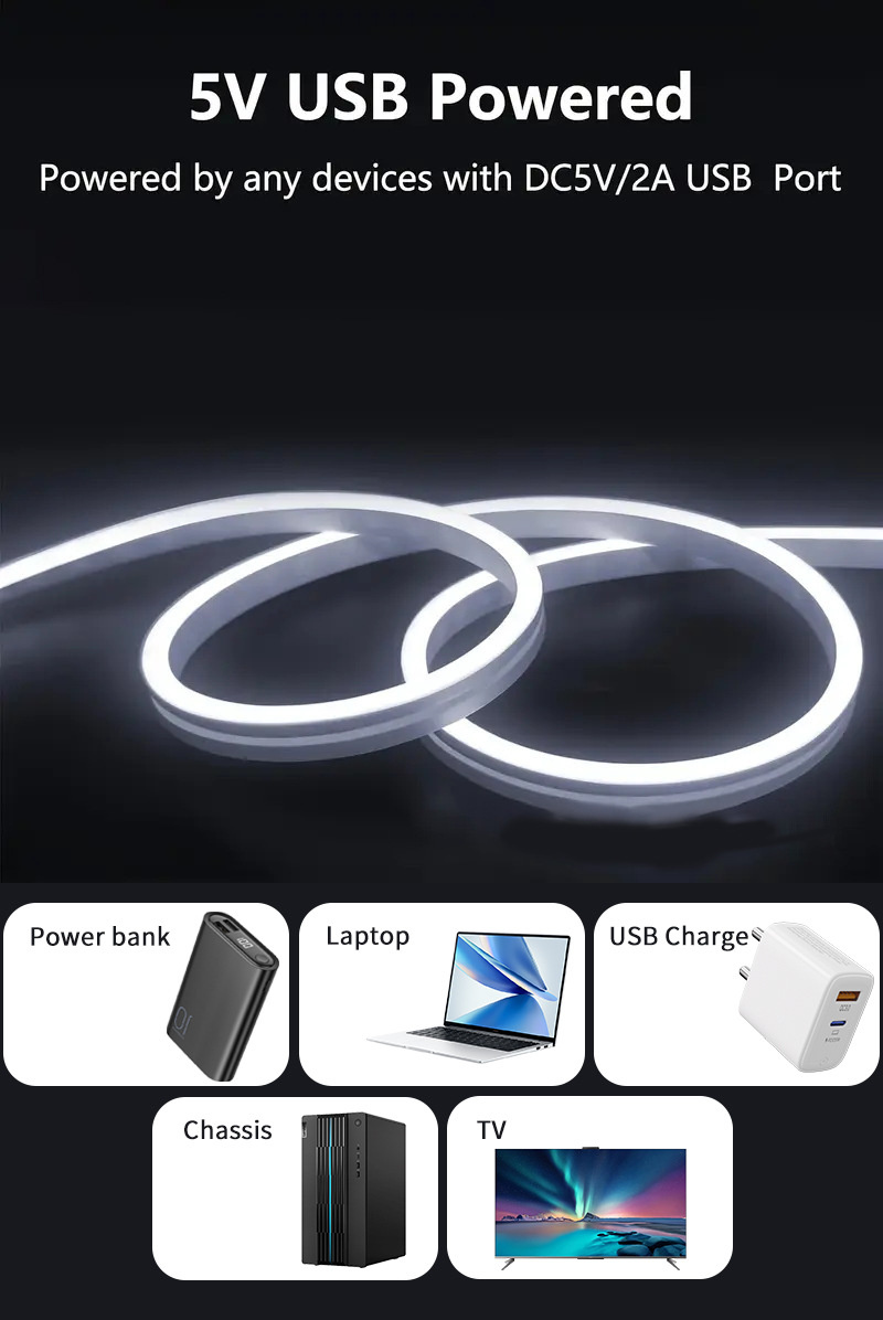 5V USB neon flex shown with compatible USB power-source examples