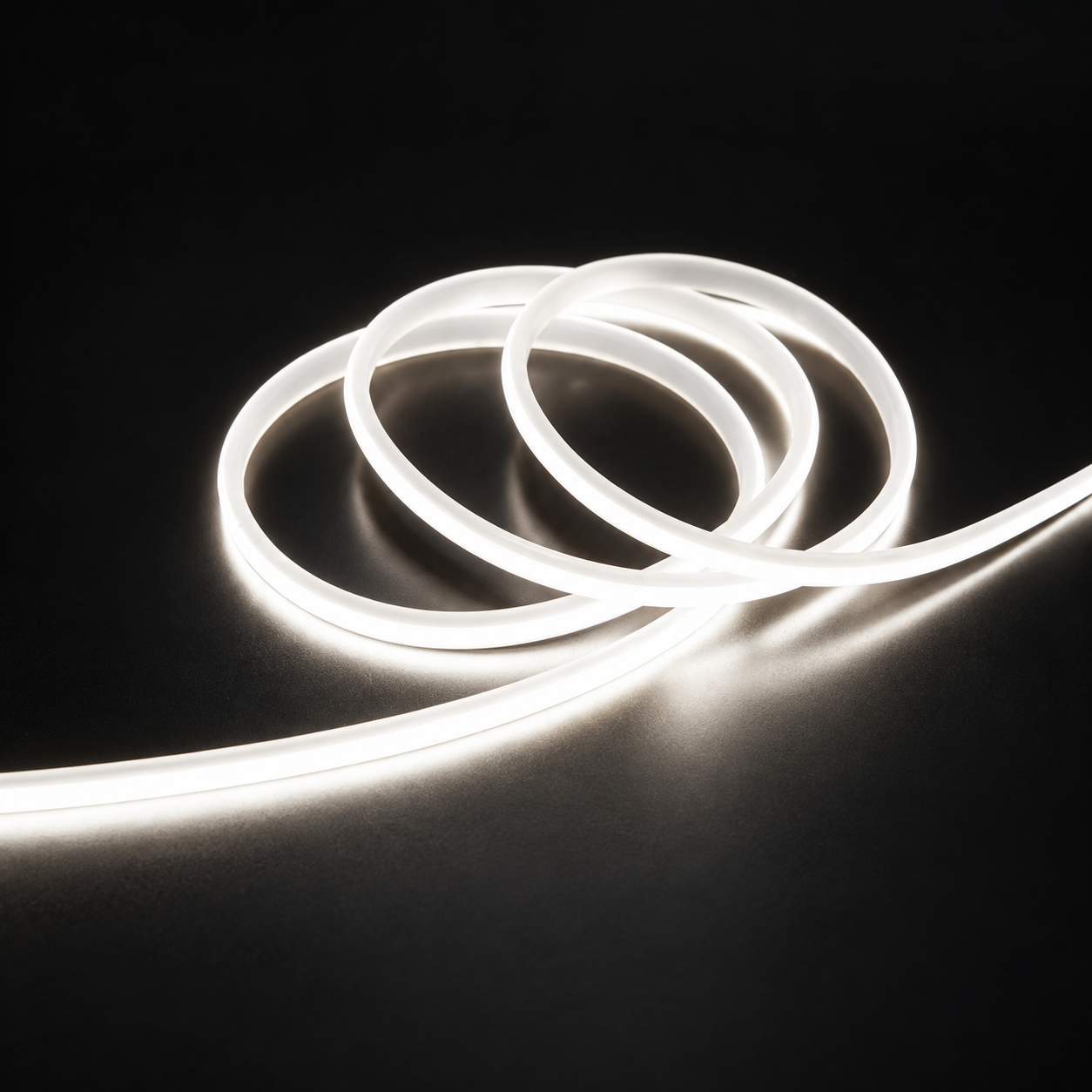 24V COB LED strips — 05 white 24v cob strip