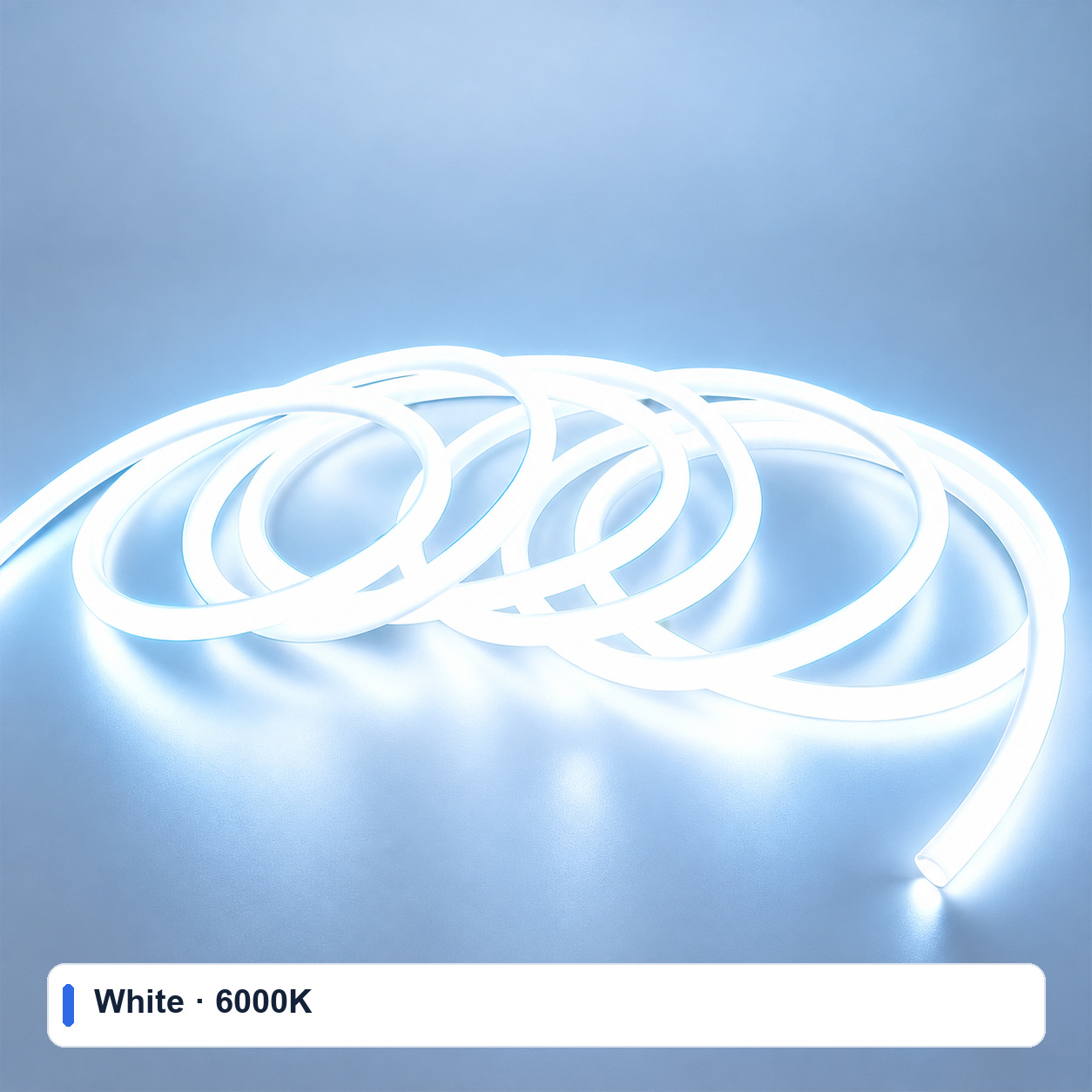 24V Round 360° Neon Flex